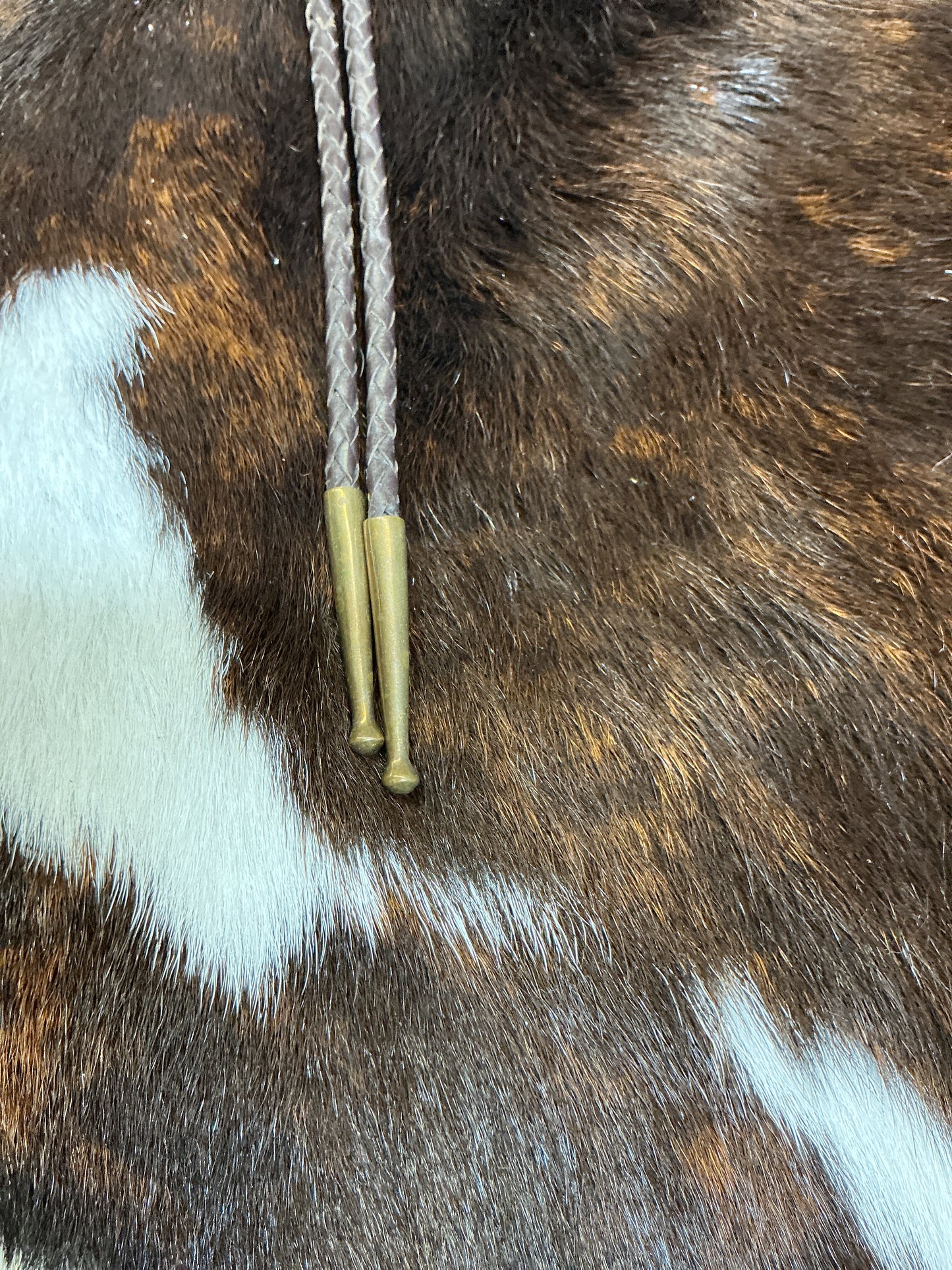 Vintage Bronze Longhorn Head Bolo Tie