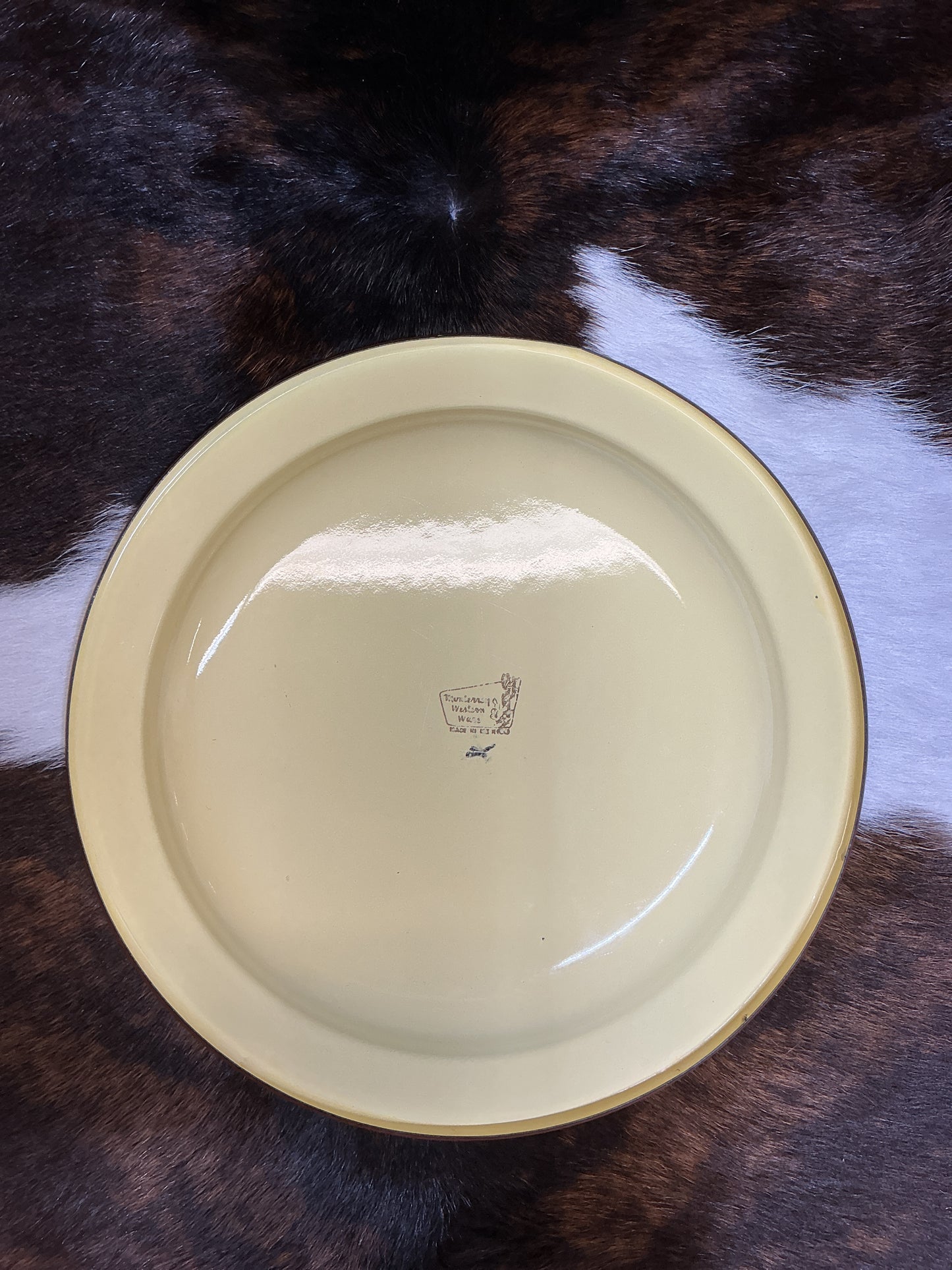 Vintage Monterrey Western Ware Enamelware Plates