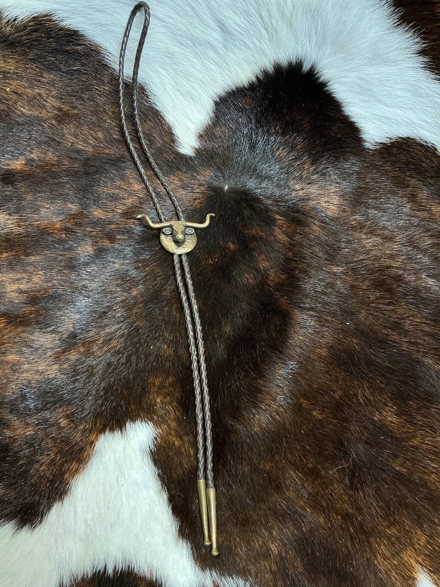 Vintage Bronze Longhorn Head Bolo Tie