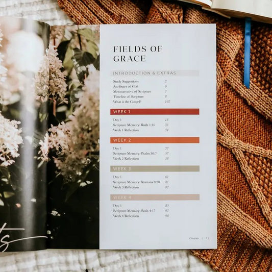 Ruth, Fields of Grace- 4 Week Bible Study