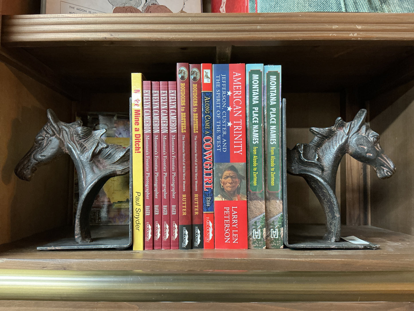Horse Book Ends