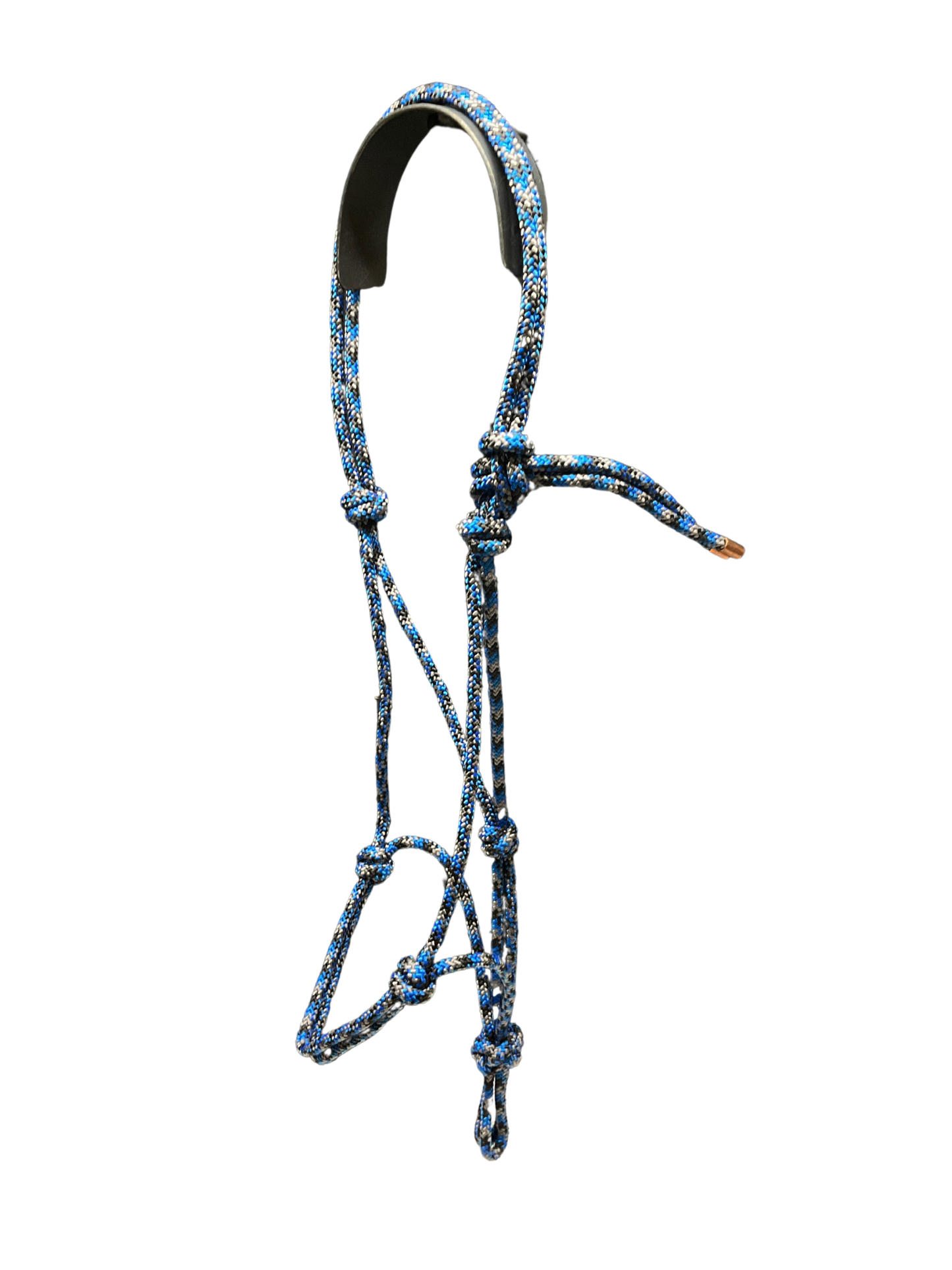 Tied Halter Yearling
