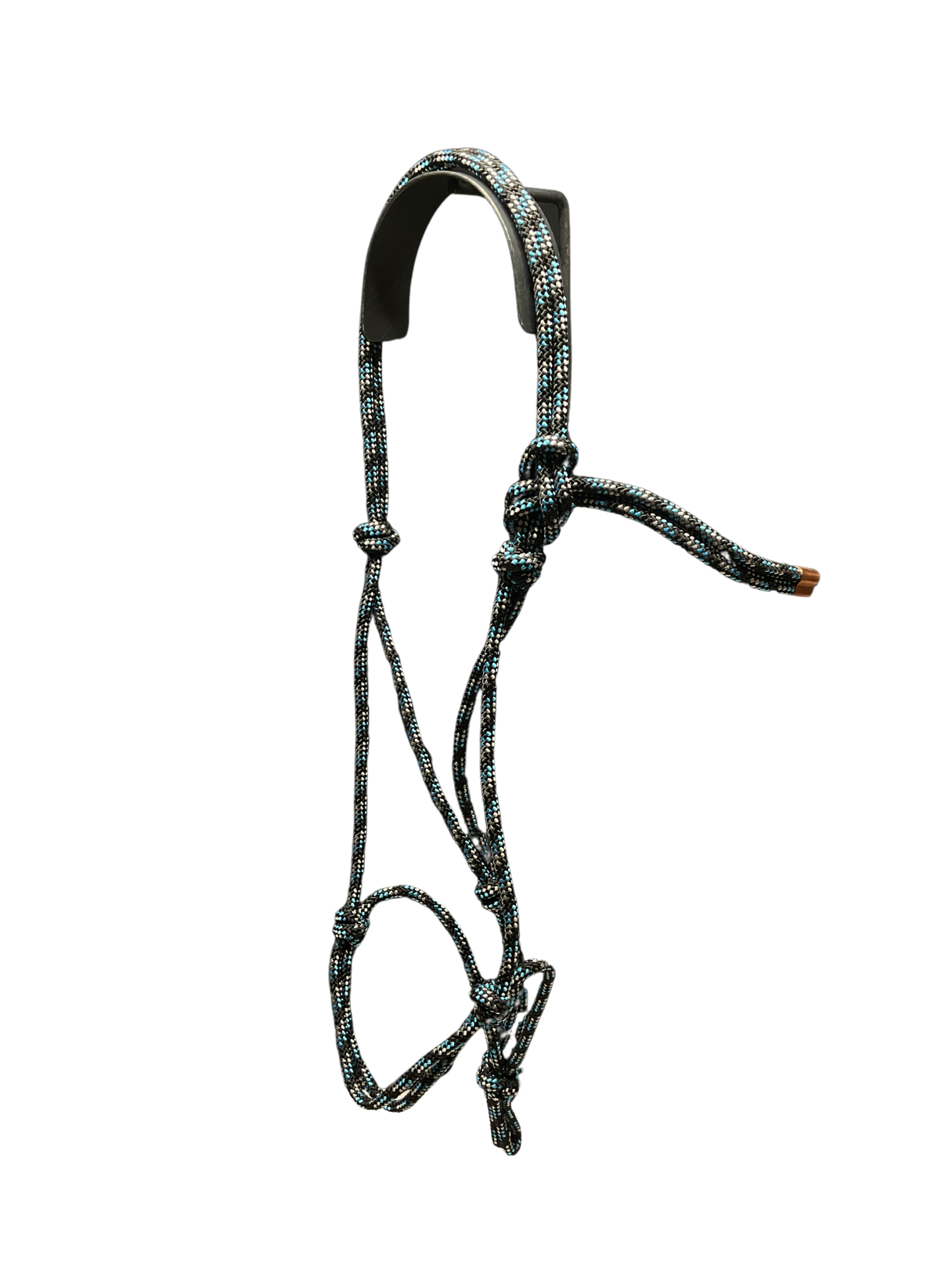Tied Halter Yearling