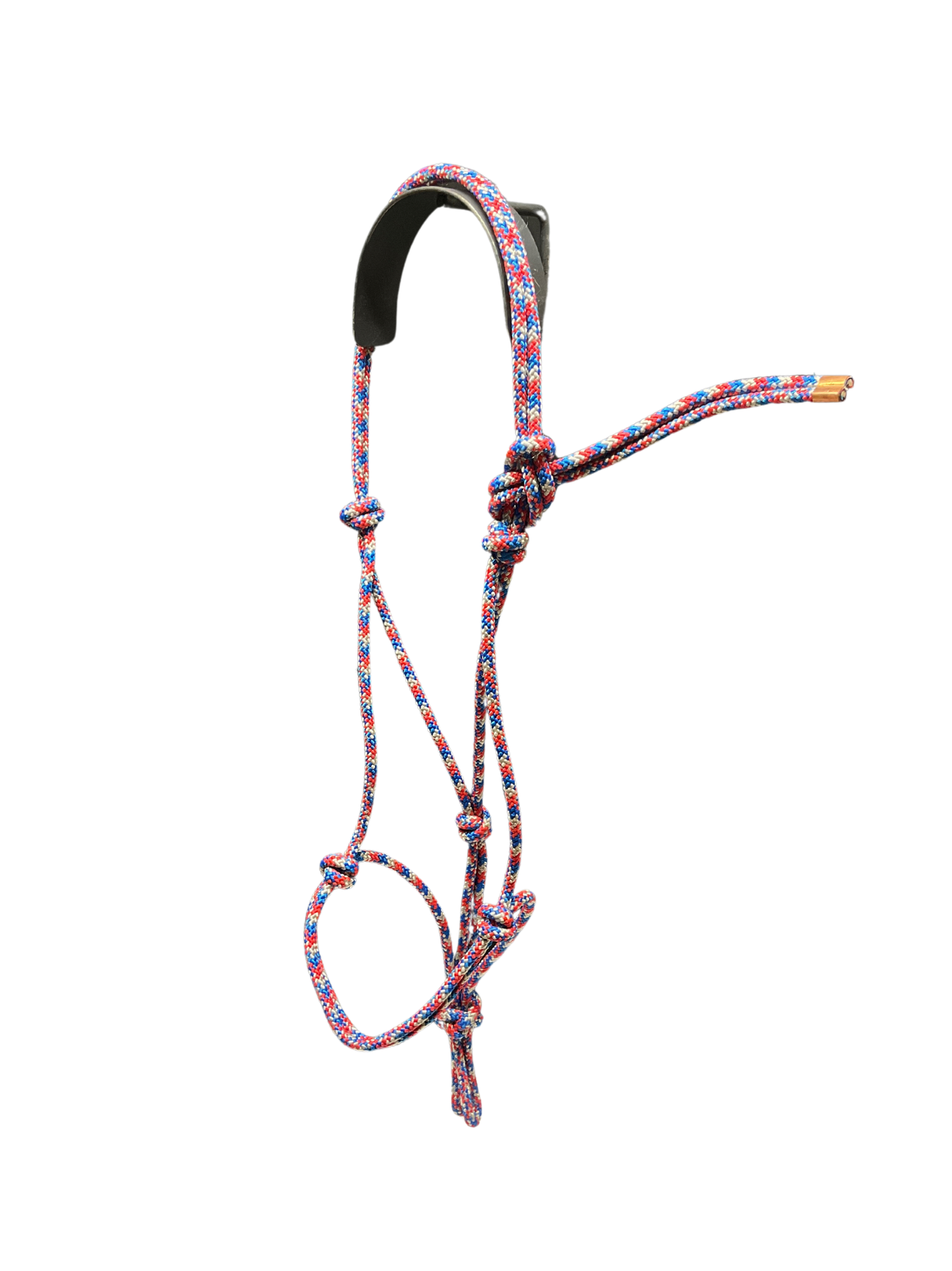 Tied Halter Yearling