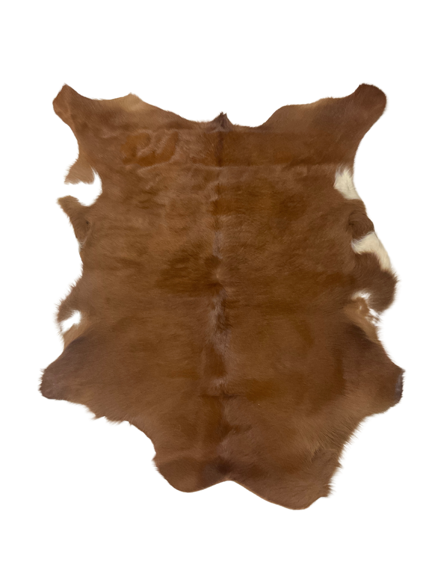 Natural Hair On Calf Hide