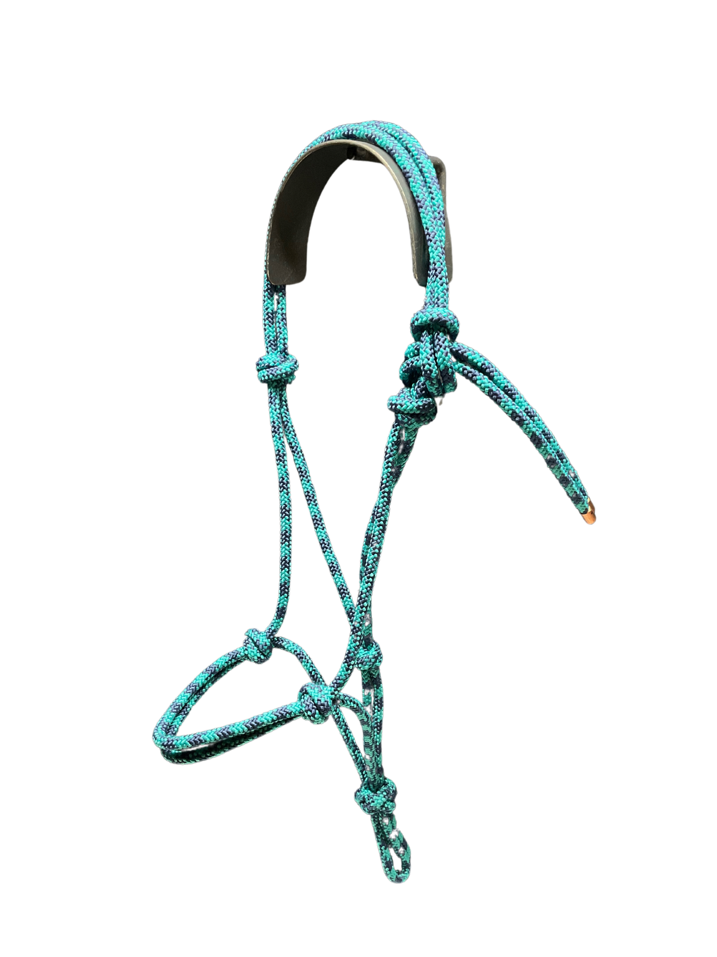 Tied Halter Yearling