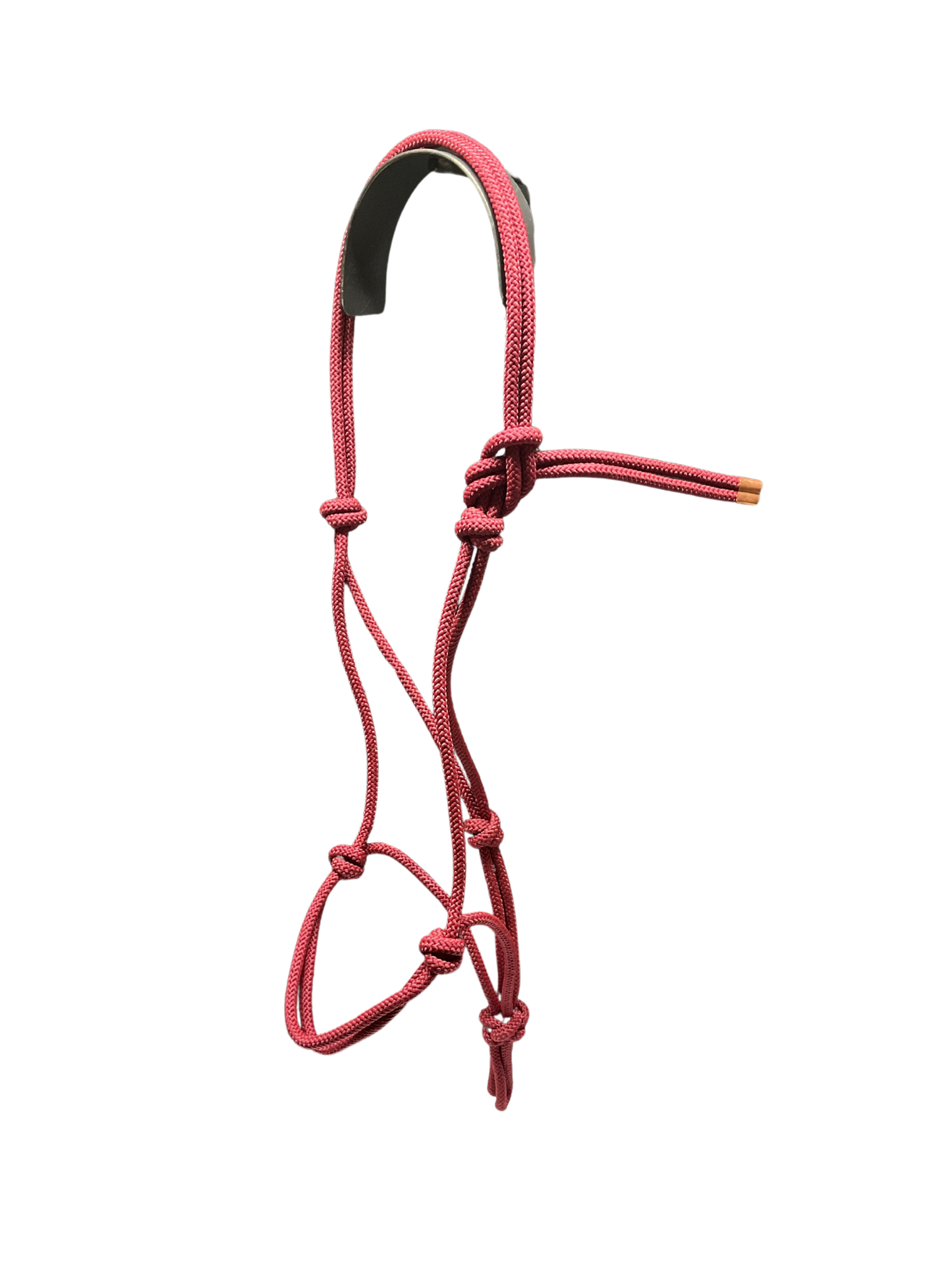 Tied Halter Yearling