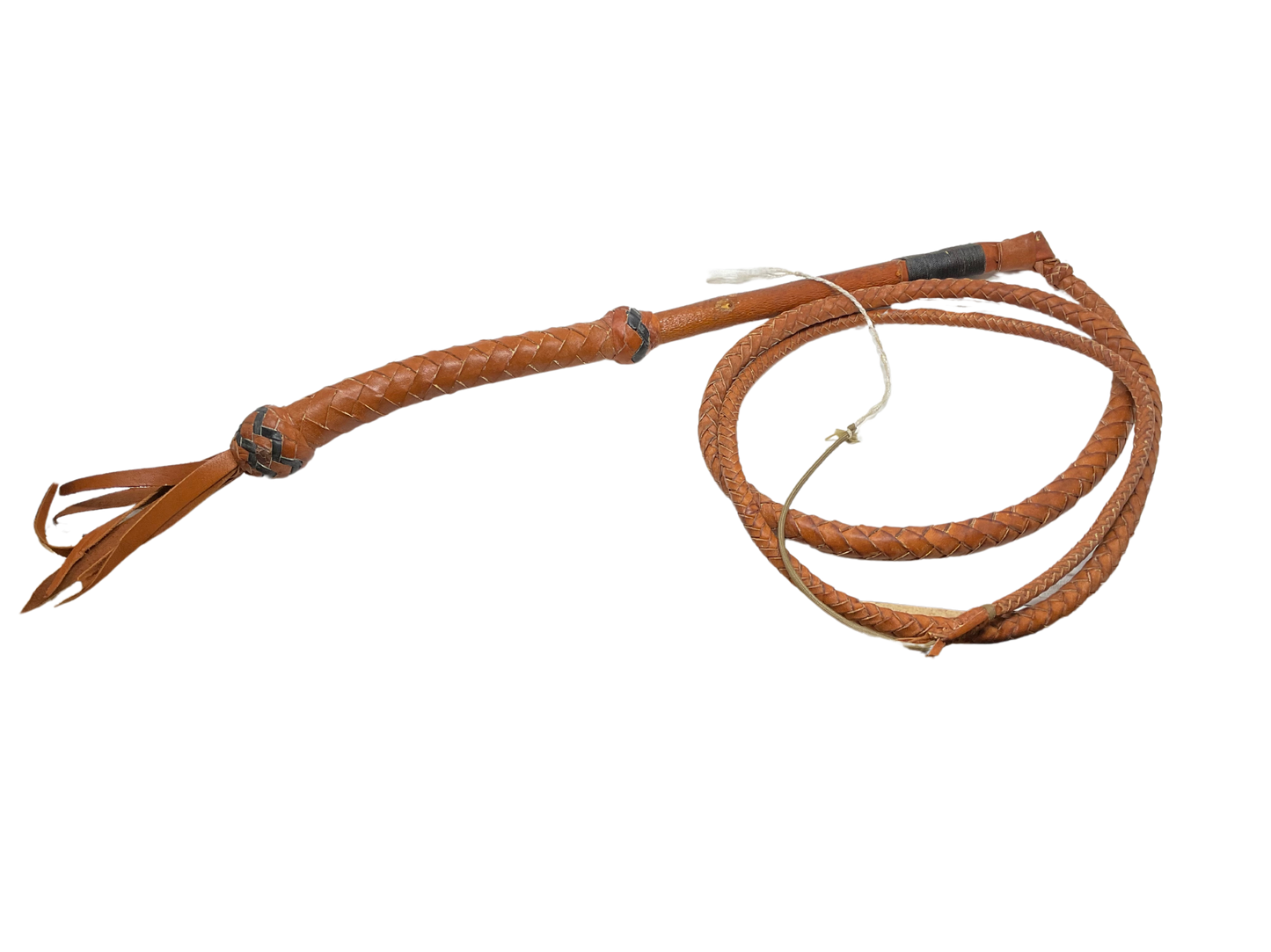 6'- 8 Plait Kangaroo Whip