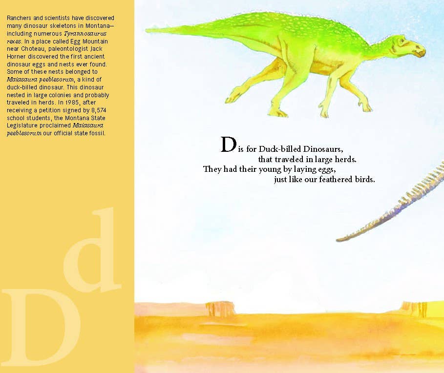 A MONTANA Alphabet picture book: B is for Big Sky Country