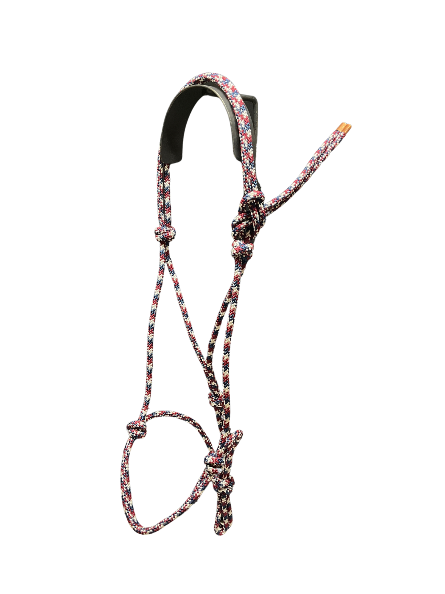 Tied Halter Yearling