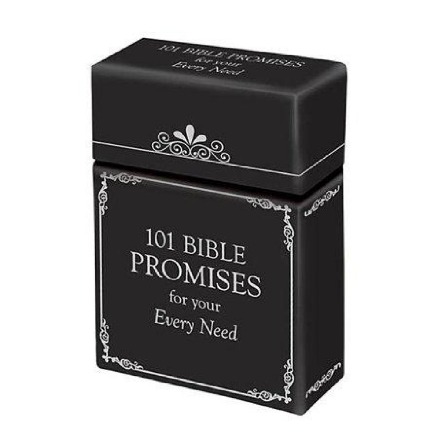 101 Bible Promises for Your Every Need