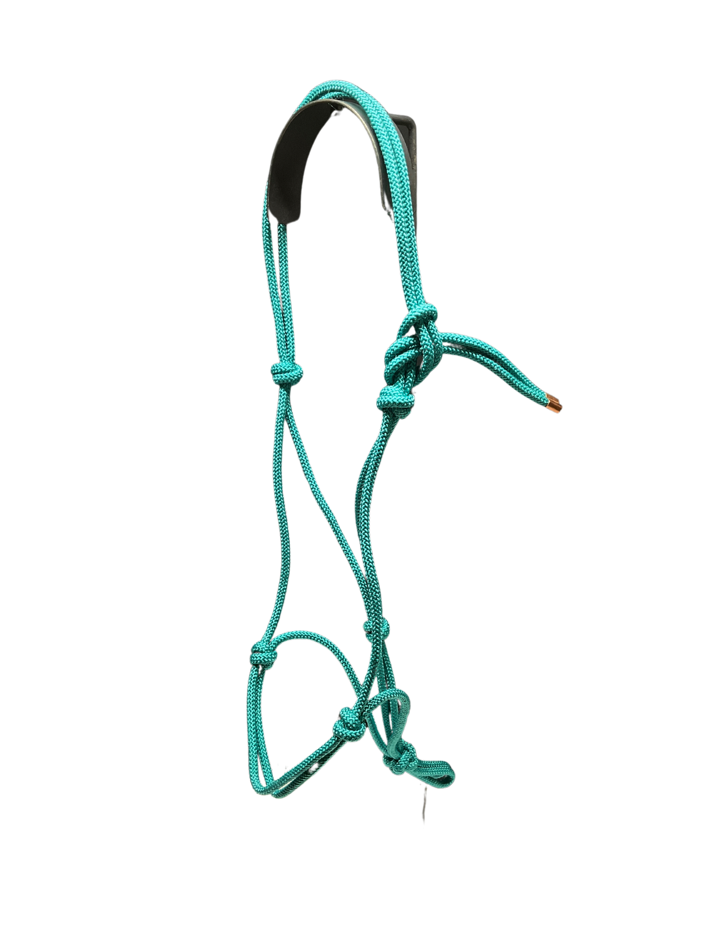 Tied Halter Yearling