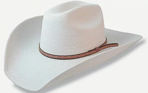 Alpine Palm Hat