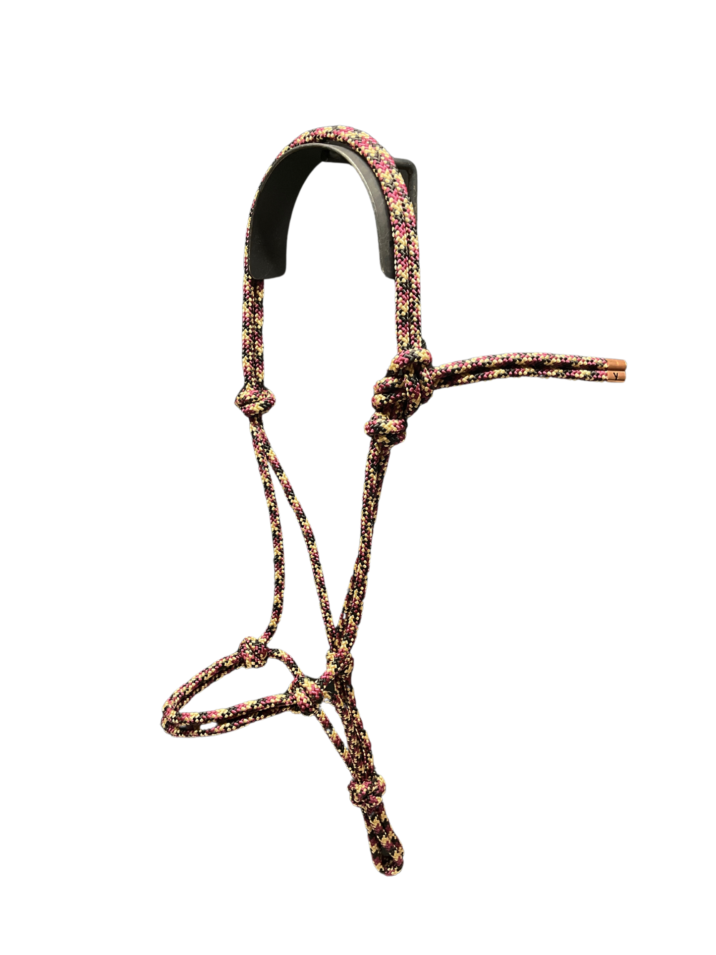 Tied Halter Yearling