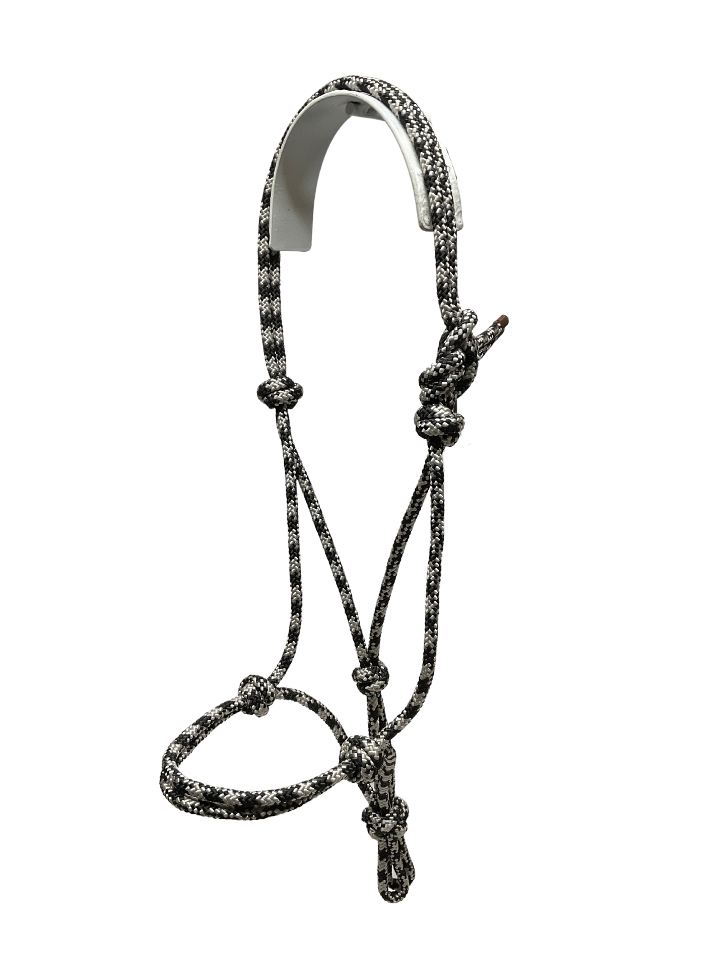 Tied Halter Yearling