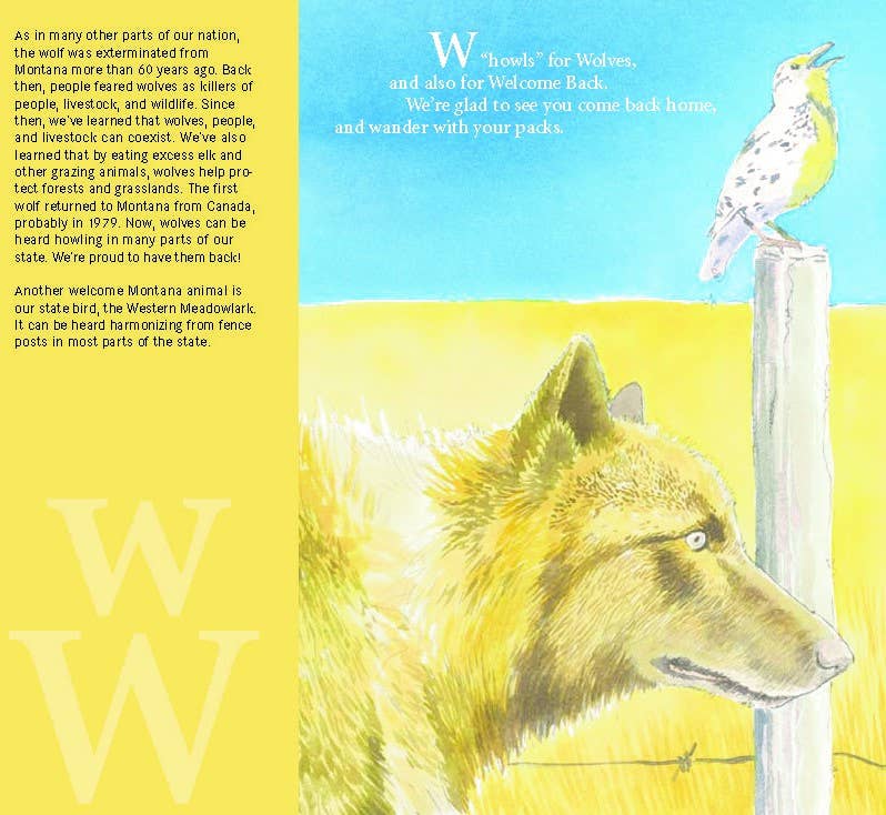 A MONTANA Alphabet picture book: B is for Big Sky Country