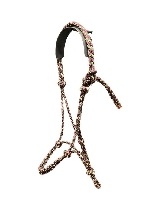 Tied Halter Yearling