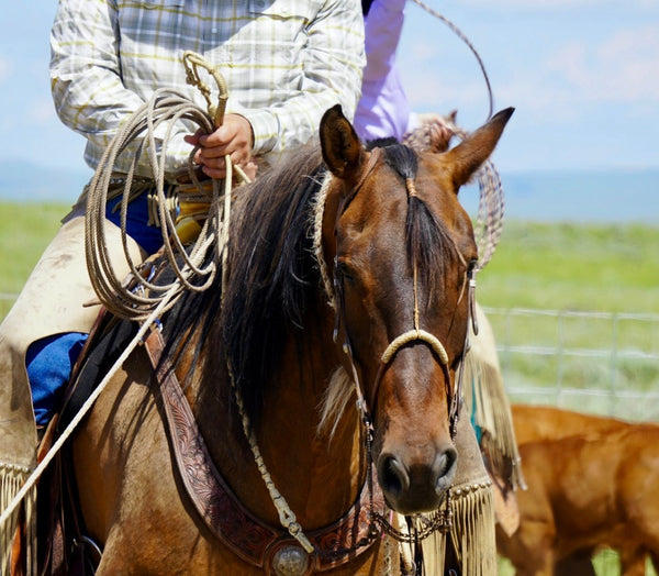 Bosal & Bosalita Hangers