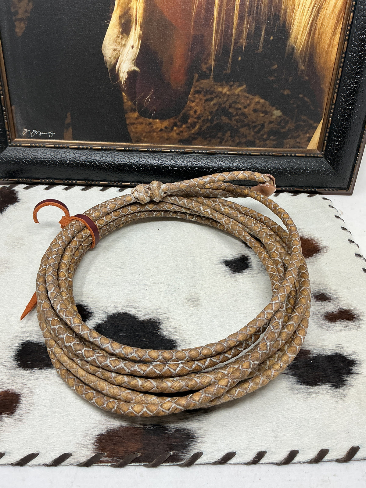 Animal Riata Decorative Riata – Heritage Horseman Supply