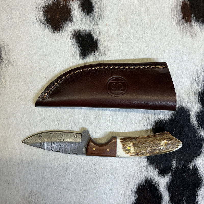 Fixed Blade Damascus w/Stag Horn & Wood