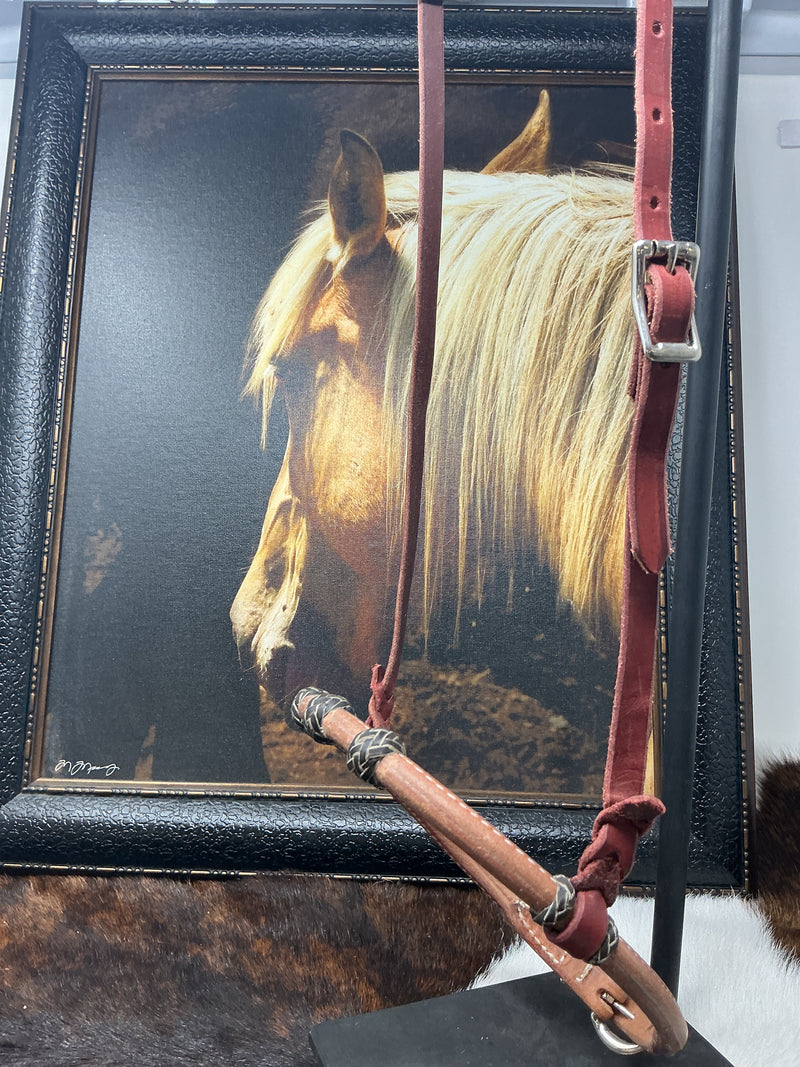 Rolled Leather Caveson w/Rawhide Buttons & Hanger