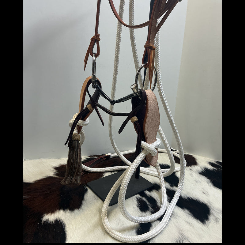 B/B Great Basin Rough Out Snaffle Bit Set Up