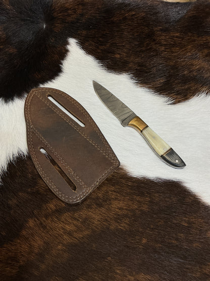 Fixed Blade Damascus Knife w/Sheath