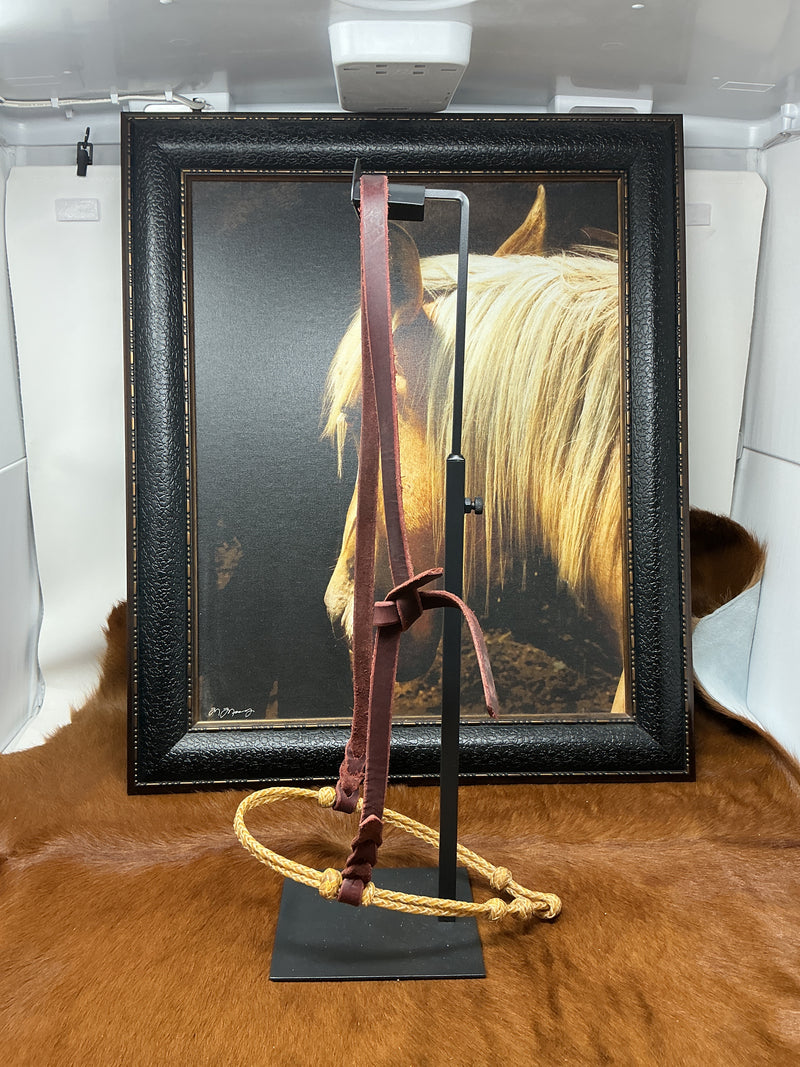 Double Rawhide Braided Caveson w/Hanger