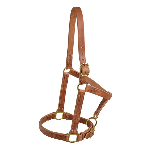Oiled 1" Harness Leather Halter