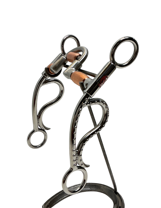 Big Horn Roller Derby