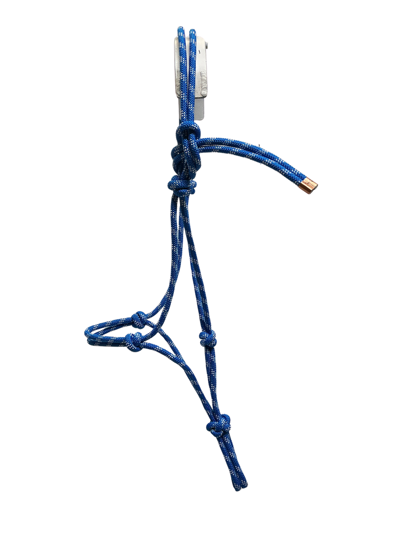 Tied Halter Yearling