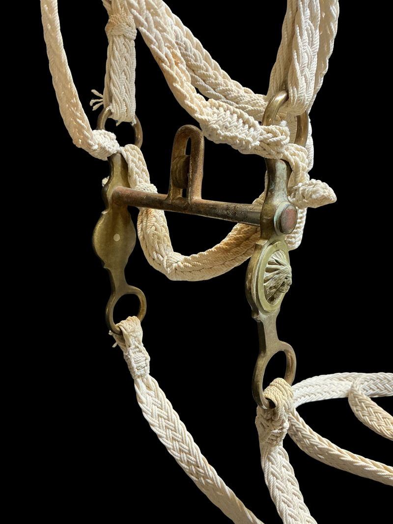 Buermann Bit & Spurs w/Bunkhouse Made Headstall