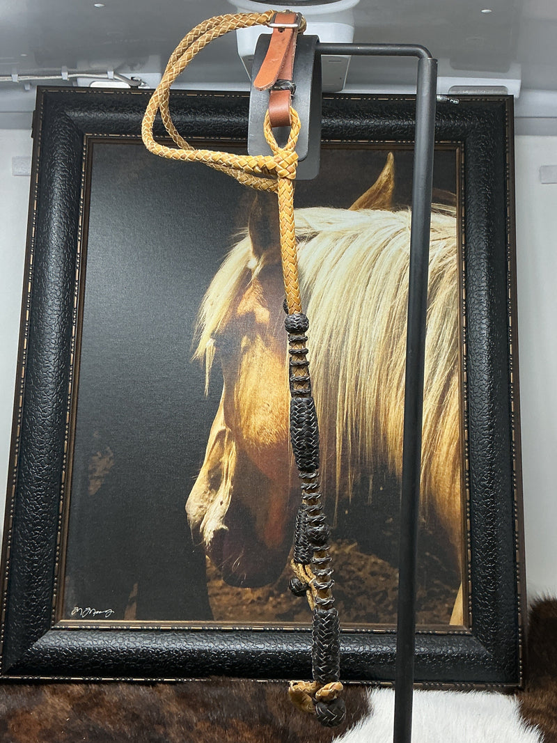 Double Ear Rawhide Headstall w/Black Rawhide Accents