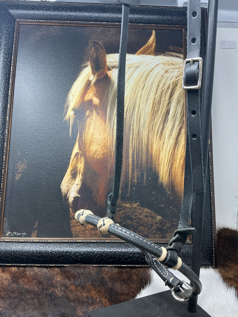 Rolled Leather Caveson w/Rawhide Buttons & Hanger