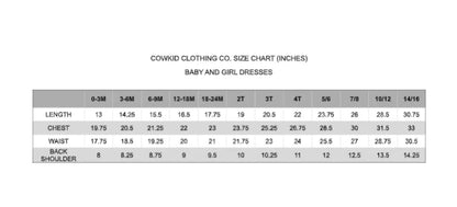 Dark Denim Pearl Snap Dress