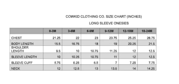 Vintage Blue Stripe Long Sleeve Pearl Snap Shirt & Onsie