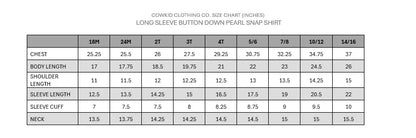 Vintage Blue Stripe Long Sleeve Pearl Snap Shirt & Onsie