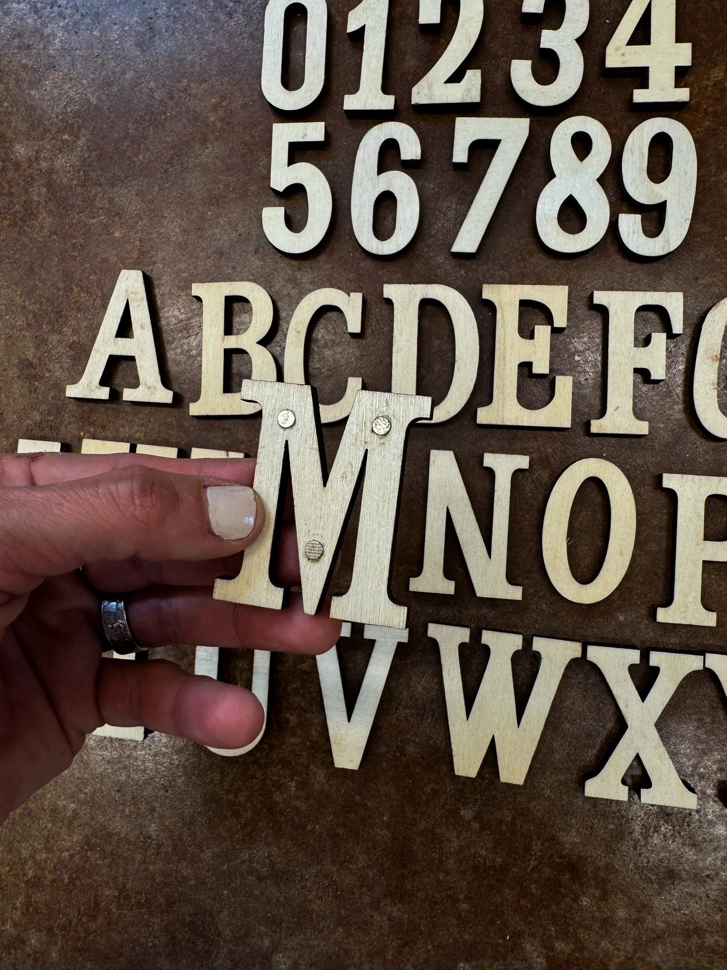 Alphabet, Numbers, & Cattle Drive Magnet Set-40 pieces