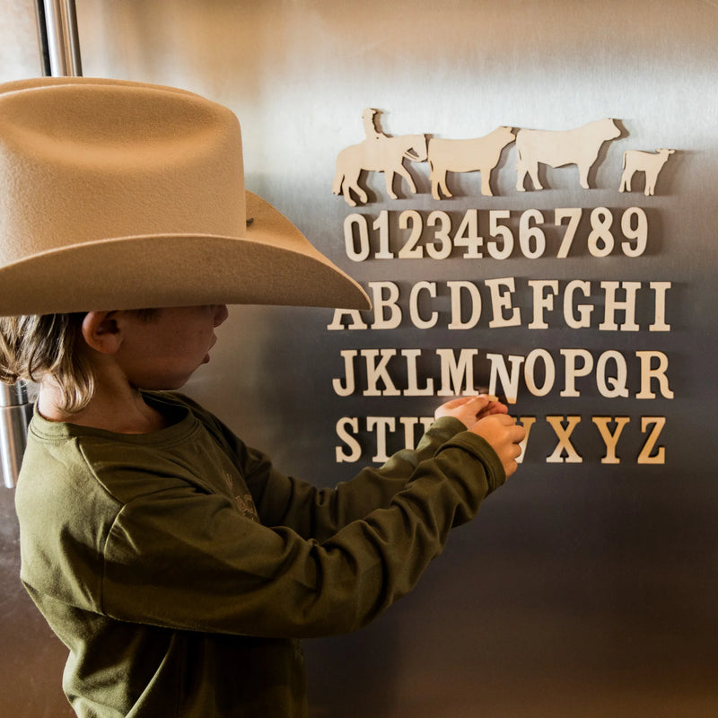 Alphabet, Numbers, & Cattle Drive Magnet Set-40 pieces