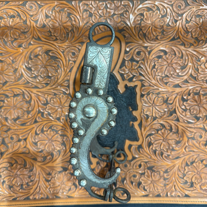 Early California Snake Bit