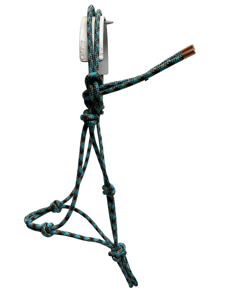 Tied Halter Yearling