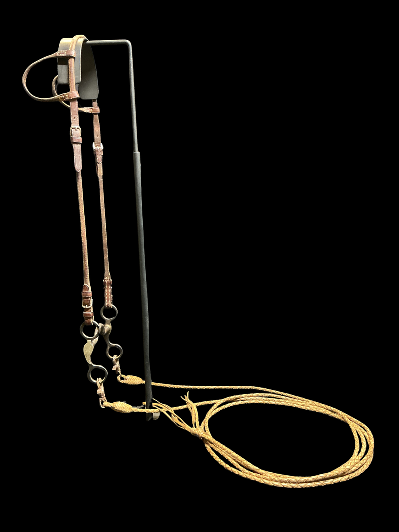 Kelly Bros. Bit w/Fine Double Ear Headstall & Reins