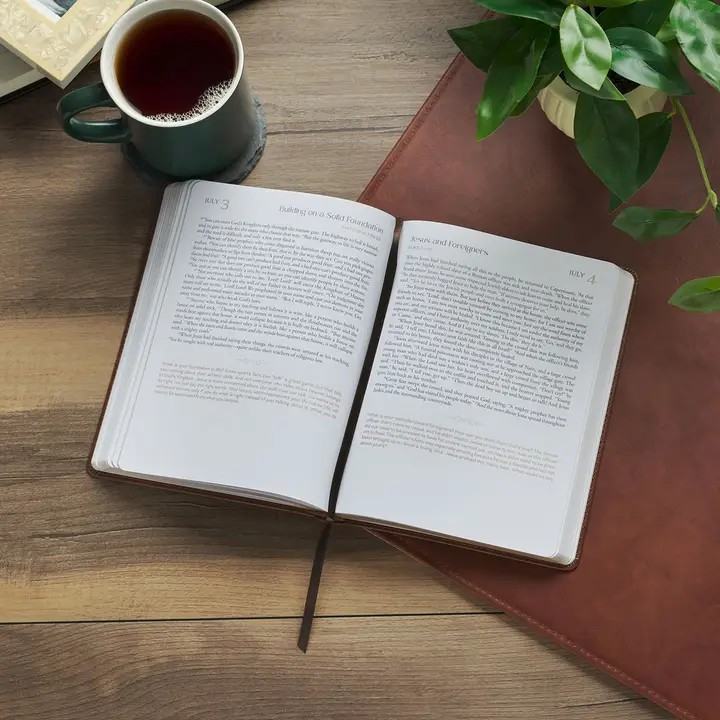 365 Days Through the Bible: A Devotional Journey