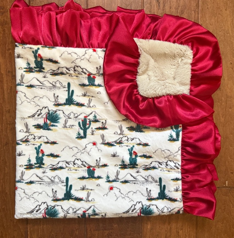 Minky Blanket