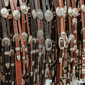 Silver Mounted Headstalls
