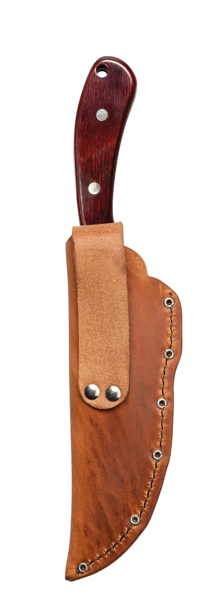 Case Smooth Rosewood Ridgeback Hunter