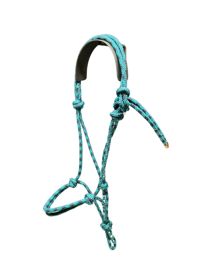 Tied Halter Weanling