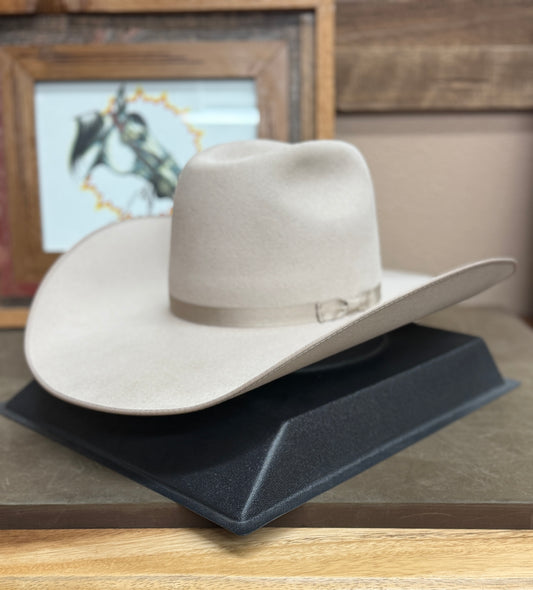 Silverbelly 6X - 5" Brim