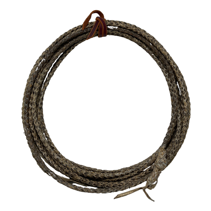 Rawhide Riata 55"