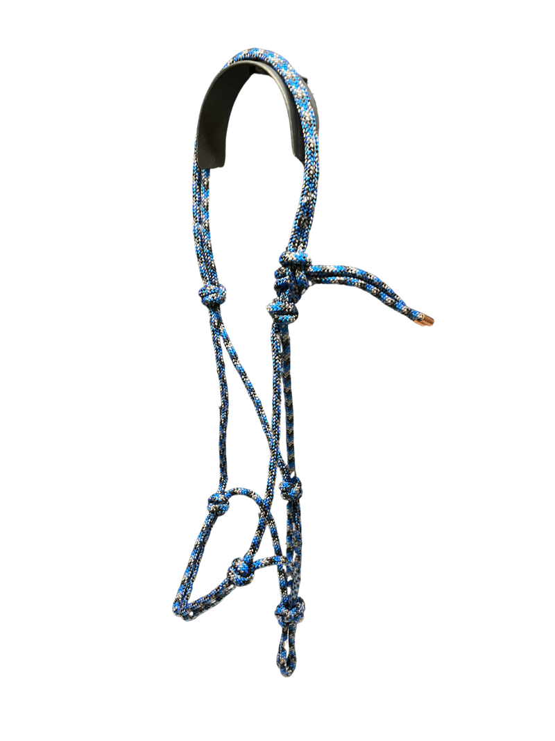 Tied Halter Yearling